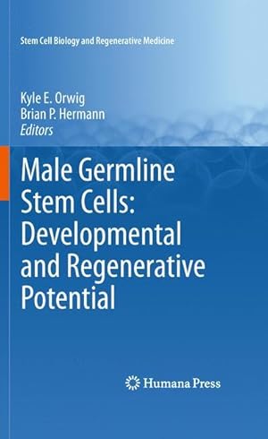 Imagen del vendedor de Male Germline Stem Cells: Developmental and Regenerative Potential a la venta por moluna