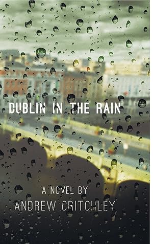 Imagen del vendedor de Dublin in the Rain a la venta por moluna