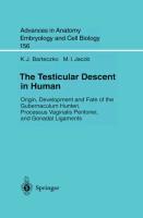 Imagen del vendedor de The Testicular Descent in Human a la venta por moluna