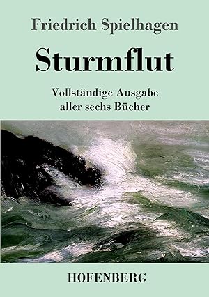 Seller image for Sturmflut for sale by moluna