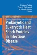 Seller image for Prokaryotic and Eukaryotic Heat Shock Proteins in Infectious Disease for sale by moluna