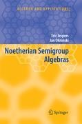 Seller image for Noetherian Semigroup Algebras for sale by moluna