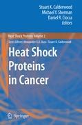 Image du vendeur pour Heat Shock Proteins in Cancer mis en vente par moluna