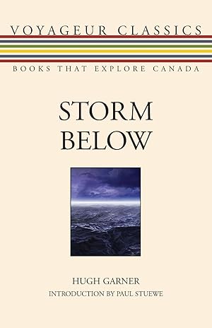 Imagen del vendedor de Storm Below a la venta por moluna