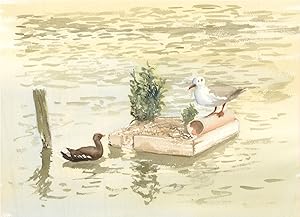 Bild des Verkufers fr Stewart Charles Hine (1928-2018) - Contemporary Watercolour, Seagull and Duck zum Verkauf von Sulis Fine Art