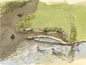 Bild des Verkufers fr Stewart Charles Hine (1928-2018) - Contemporary Watercolour, Ducks zum Verkauf von Sulis Fine Art