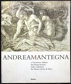 Bild des Verkufers fr Andrea Mantegna e l'incisione italiana del Rinascimento nelle collezioni dei musei civici di Pavia zum Verkauf von Graphem. Kunst- und Buchantiquariat