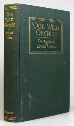 Seller image for Our Wild Orchids. With foreword by Oakes Ames for sale by Bow Windows Bookshop (ABA, ILAB)