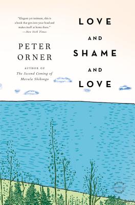 Seller image for Love and Shame and Love (Paperback or Softback) for sale by BargainBookStores