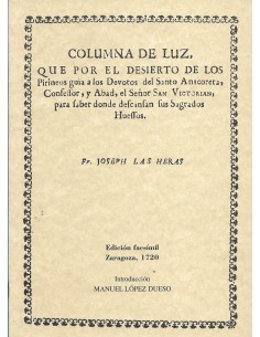 Imagen del vendedor de COLUMNA DE LUZ QUE POR EL DESIERTO Edicin facsimil a la venta por Librovicios