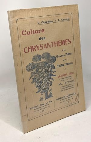 Culture des chrysanthèmes à la grande fleur et à taille basse - 19e édition