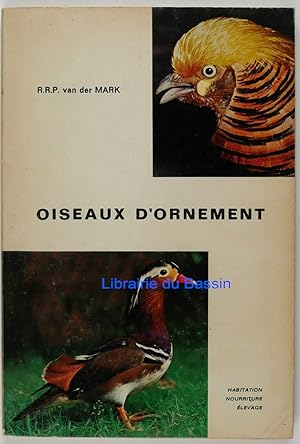 Oiseaux d'ornement Habitation Nourriture Elevage