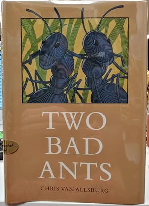 Two Bad Ants