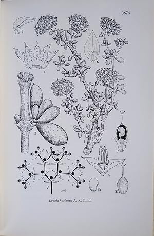 Hooker's Icones Plantarum (A selection of plates on plants of Socotra) - Volume VII part IV (tabu...