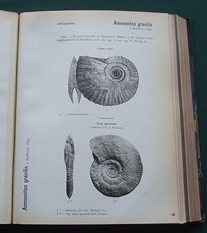 Palaeontologia Universalis [ 1903-1911 ]