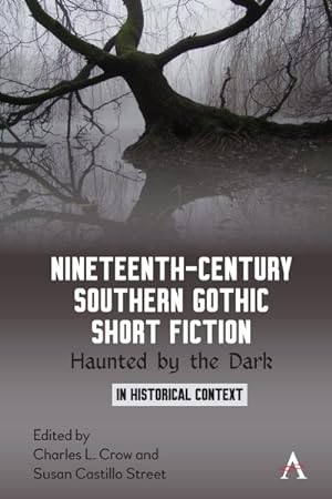 Image du vendeur pour Nineteenth-Century Southern Gothic Short Fiction : Haunted by the Dark mis en vente par GreatBookPrices