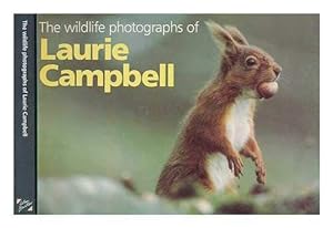 Seller image for Wild Life Photographs of Laurie Campbell for sale by Antiquariat Buchhandel Daniel Viertel