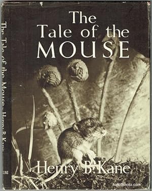 The Tale Of The Mouse