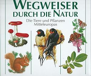 Seller image for Wegweiser durch die Natur; Die Tiere und Pflanzen Mitteleuropas for sale by Bcherhandel-im-Netz/Versandantiquariat