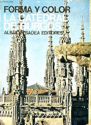 Bild des Verkufers fr Forma y color - Los grandes ciclos del Arte - La catedral de Burgos - 22 zum Verkauf von Le-Livre