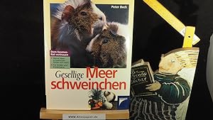 Seller image for Gesellige Meerschweinchen. for sale by Versandantiquariat Ingo Lutter