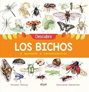 Bild des Verkufers fr Descubro los bichos / Discovering Insects : Y Aprendo a Reconocerlos -Language: spanish zum Verkauf von GreatBookPrices