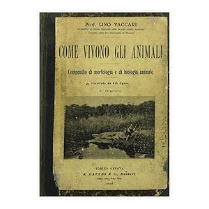 Lino Vaccari - Come vivono gli animali