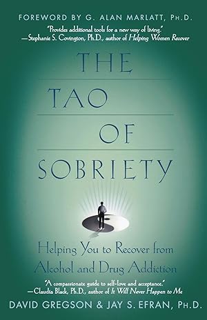 Seller image for The Tao of Sobriety for sale by moluna