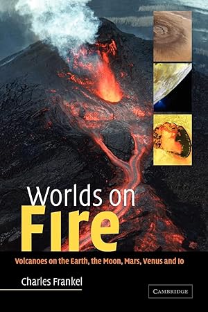 Immagine del venditore per Worlds on Fire venduto da moluna