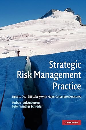 Imagen del vendedor de Strategic Risk Management Practice a la venta por moluna