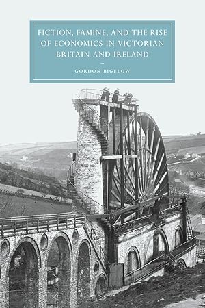 Immagine del venditore per Fiction, Famine, and the Rise of Economics in Victorian Britain and Ireland venduto da moluna