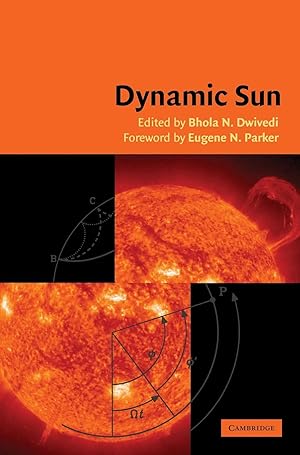 Seller image for Dynamic Sun for sale by moluna