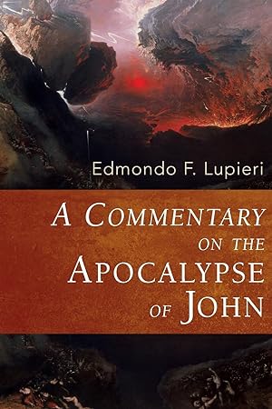 Seller image for A Commentary on the Apocalypse of John for sale by moluna