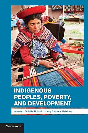 Seller image for Indigenous Peoples, Poverty, and Development for sale by moluna