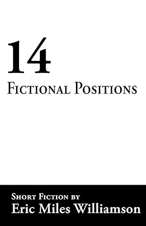 Seller image for 14 Fictional Positions for sale by moluna