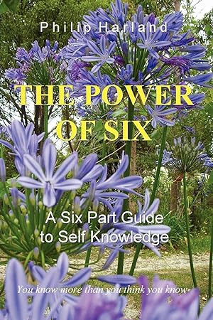 Imagen del vendedor de THE POWER OF SIX A Six Part Guide to Self Knowledge a la venta por moluna