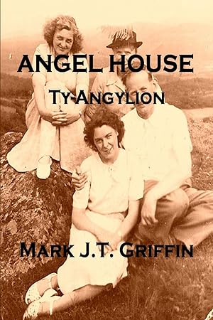 Seller image for Angel House for sale by moluna