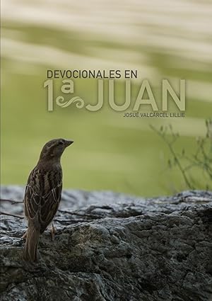 Seller image for Devocionales en 1 Juan for sale by moluna
