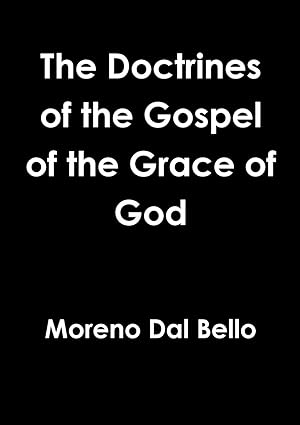 Seller image for The Doctrines of the Gospel of the Grace of God for sale by moluna