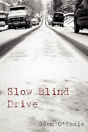 Seller image for Slow Blind Drive for sale by moluna