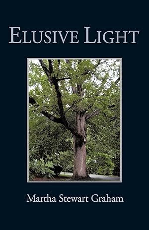 Seller image for Elusive Light for sale by moluna