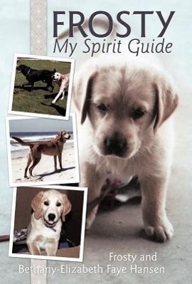 Seller image for Frosty My Spirit Guide for sale by moluna