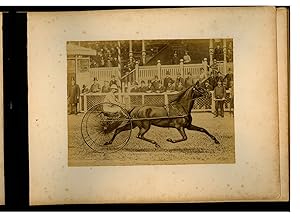 [Binding title:] Album des Trabrenn-Sport.Berlin, H. Schnaebeli & Co, 1879. Oblong 8vo (33 x 26.5...