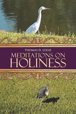 Seller image for Meditations on Holiness for sale by moluna