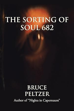 Seller image for The Sorting of Soul 682 for sale by moluna