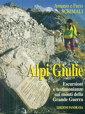 Imagen del vendedor de Alpi Giulie a la venta por Miliardi di Parole