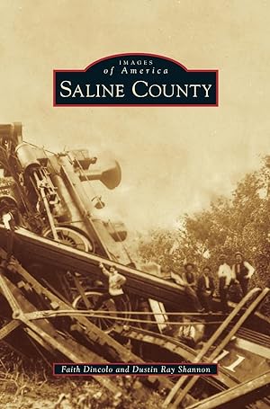 Seller image for Saline County for sale by moluna