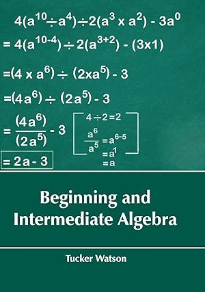 Imagen del vendedor de Beginning and Intermediate Algebra a la venta por moluna