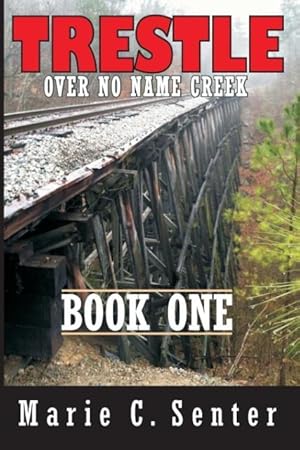 Bild des Verkufers fr Trestle Over No Name Creek - Book One zum Verkauf von moluna