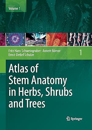 Image du vendeur pour Atlas of Stem Anatomy in Herbs, Shrubs and Trees mis en vente par moluna